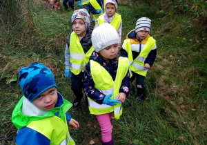 Dzieci spacerują po lesie i szukają śmieci.
